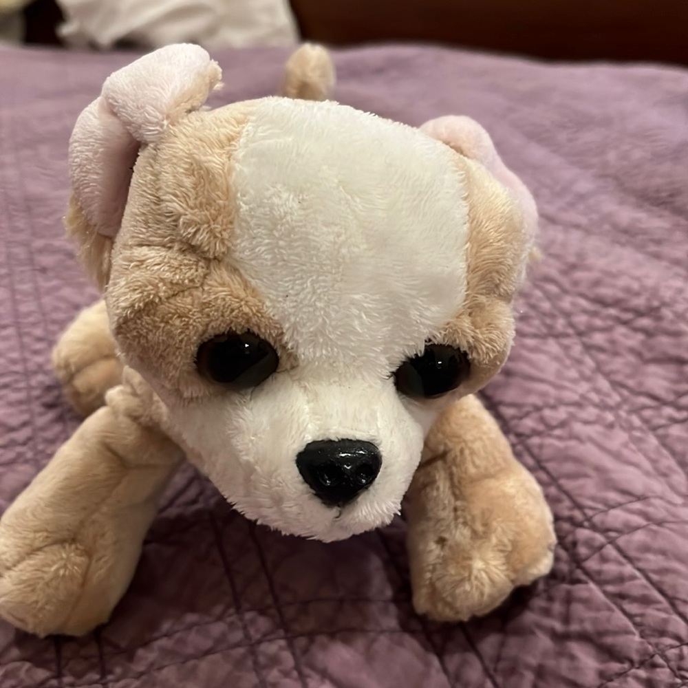 Who can resist this face?! Chihuahua by Webkinz
